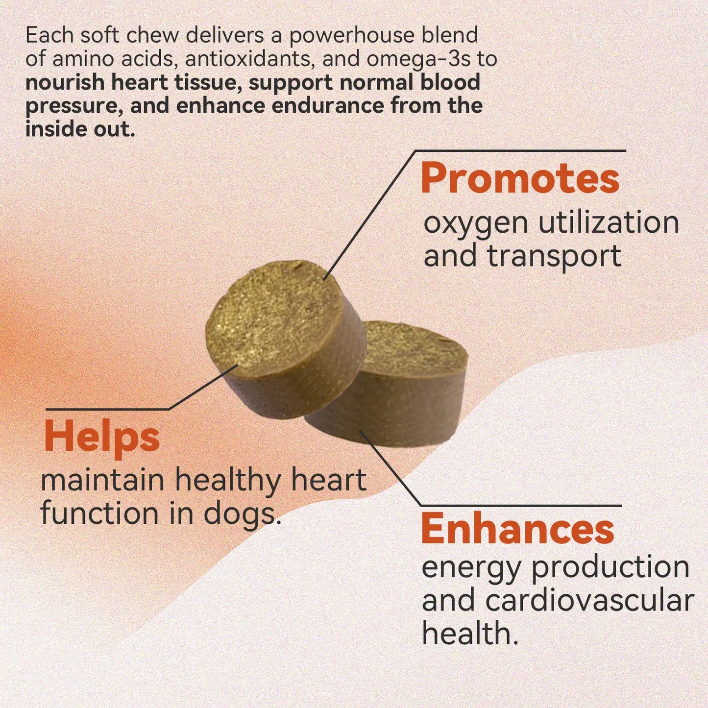 Taurine + Coq10 Chews for Dogs - Clean Nutritional Blend for Daily Canine Wellness - Essential Nutrients for Health - Natural Pork Flavor - 32 Soft Chews