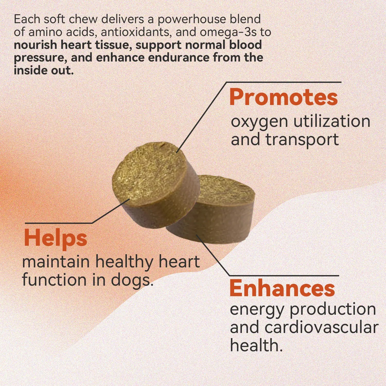 Taurine + Coq10 Chews for Dogs - Clean Nutritional Blend for Daily Canine Wellness - Essential Nutrients for Health - Natural Pork Flavor - 32 Soft Chews