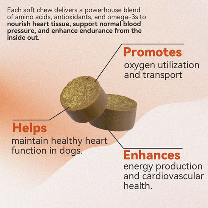 Taurine + Coq10 Chews for Dogs - Clean Nutritional Blend for Daily Canine Wellness - Essential Nutrients for Health - Natural Pork Flavor - 32 Soft Chews