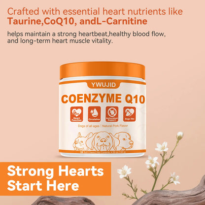 Taurine + Coq10 Chews for Dogs - Clean Nutritional Blend for Daily Canine Wellness - Essential Nutrients for Health - Natural Pork Flavor - 32 Soft Chews