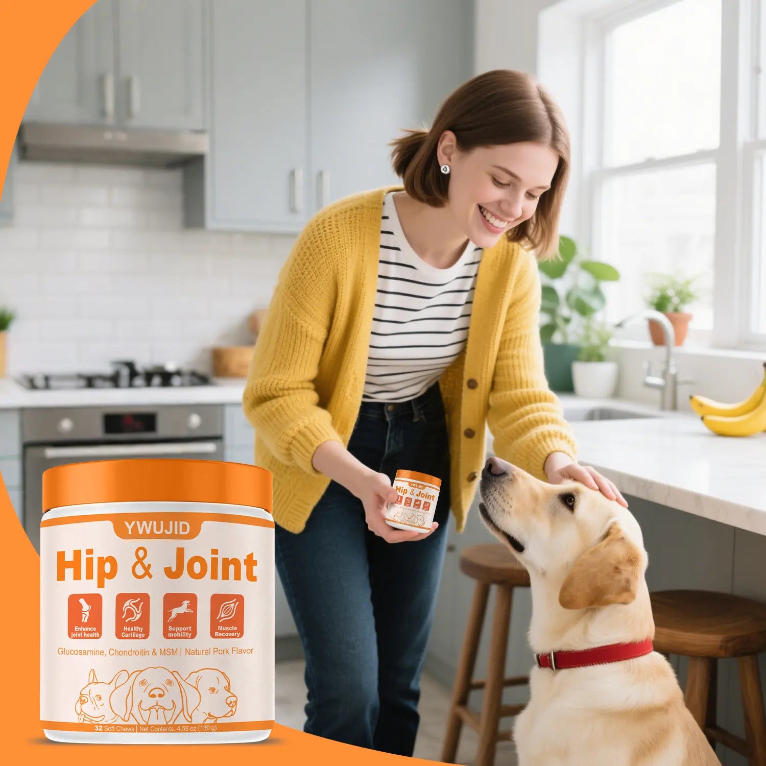 Chondroitin Joint Supplement for Dogs, Glucosamine for Dogs Hip and Joint Supplement Chews