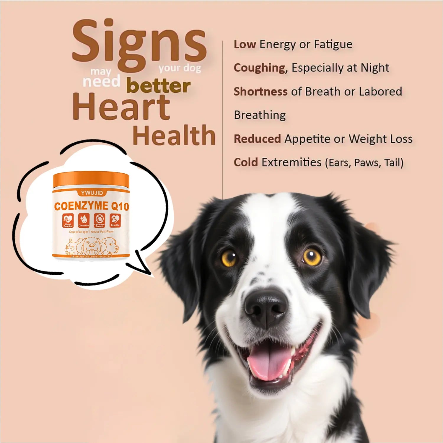 Taurine + Coq10 Chews for Dogs - Clean Nutritional Blend for Daily Canine Wellness - Essential Nutrients for Health - Natural Pork Flavor - 32 Soft Chews
