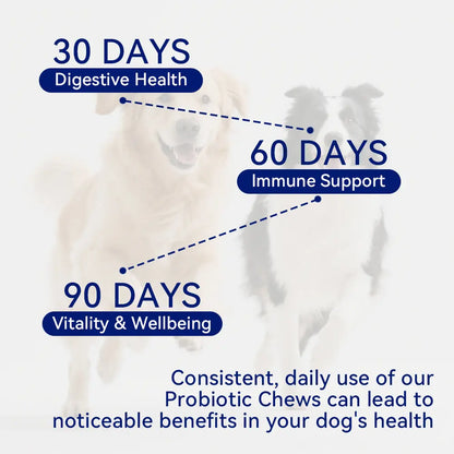 Dog Probiotic Supplement Chews | with Prebiotics, Fiber & Enzymes | Plant-Based Daily Formula