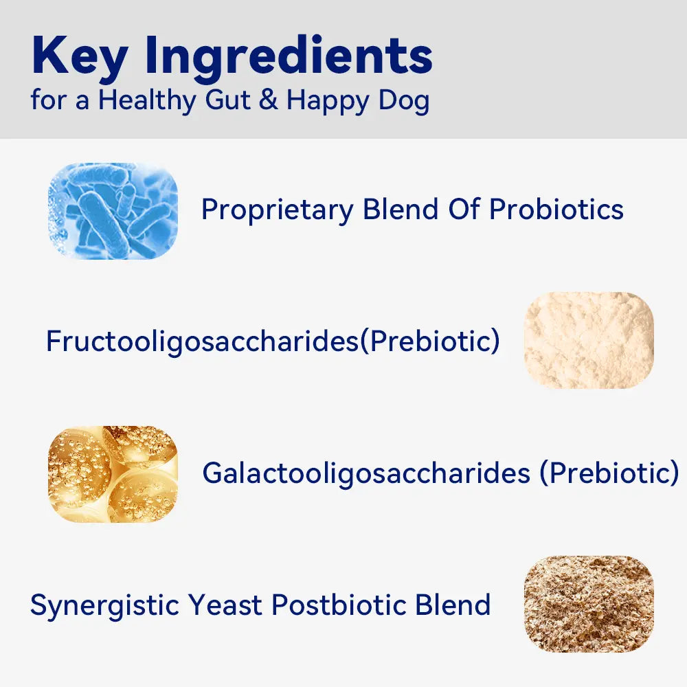 8-In-1 Multivitamin Soft Chews for Dogs – Probiotics, Gut & Immune Support – Natural Pork Flavor