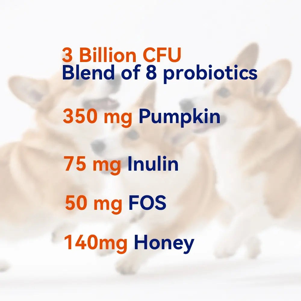 Dog Probiotic Supplement Chews | with Prebiotics, Fiber & Enzymes | Plant-Based Daily Formula